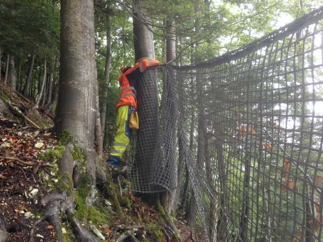 Filet S&P posé dans les arbres